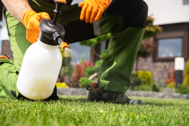 Best Pest Control Near Me in St Francis, KS