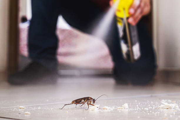 Best Exterminator Services  in St Francis, KS