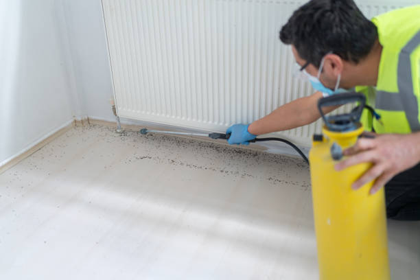 Best Local Pest Control Services  in St Francis, KS