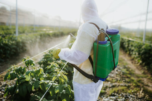 Best Commercial Pest Control Services  in St Francis, KS